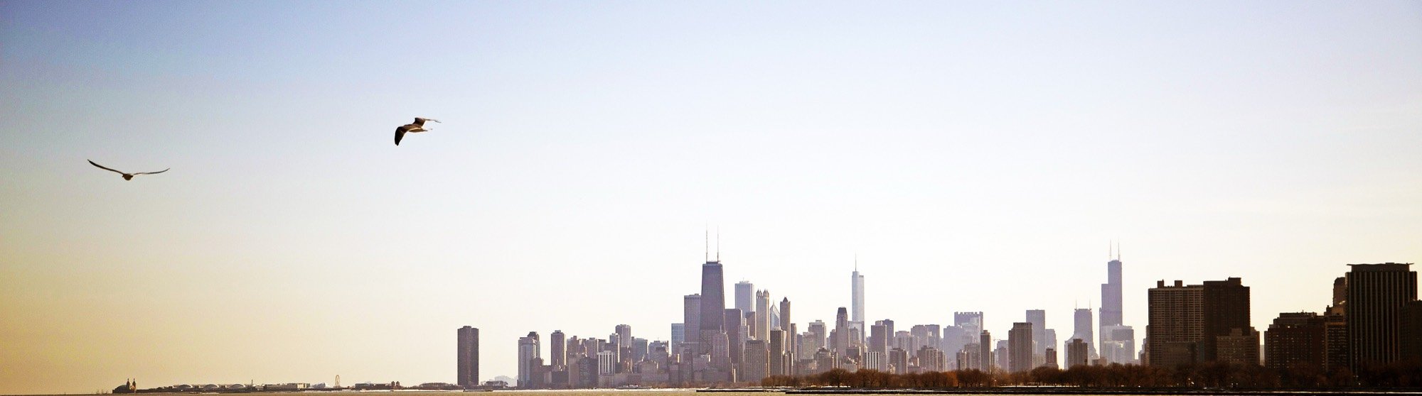 Birds over a distant city skyline across the water