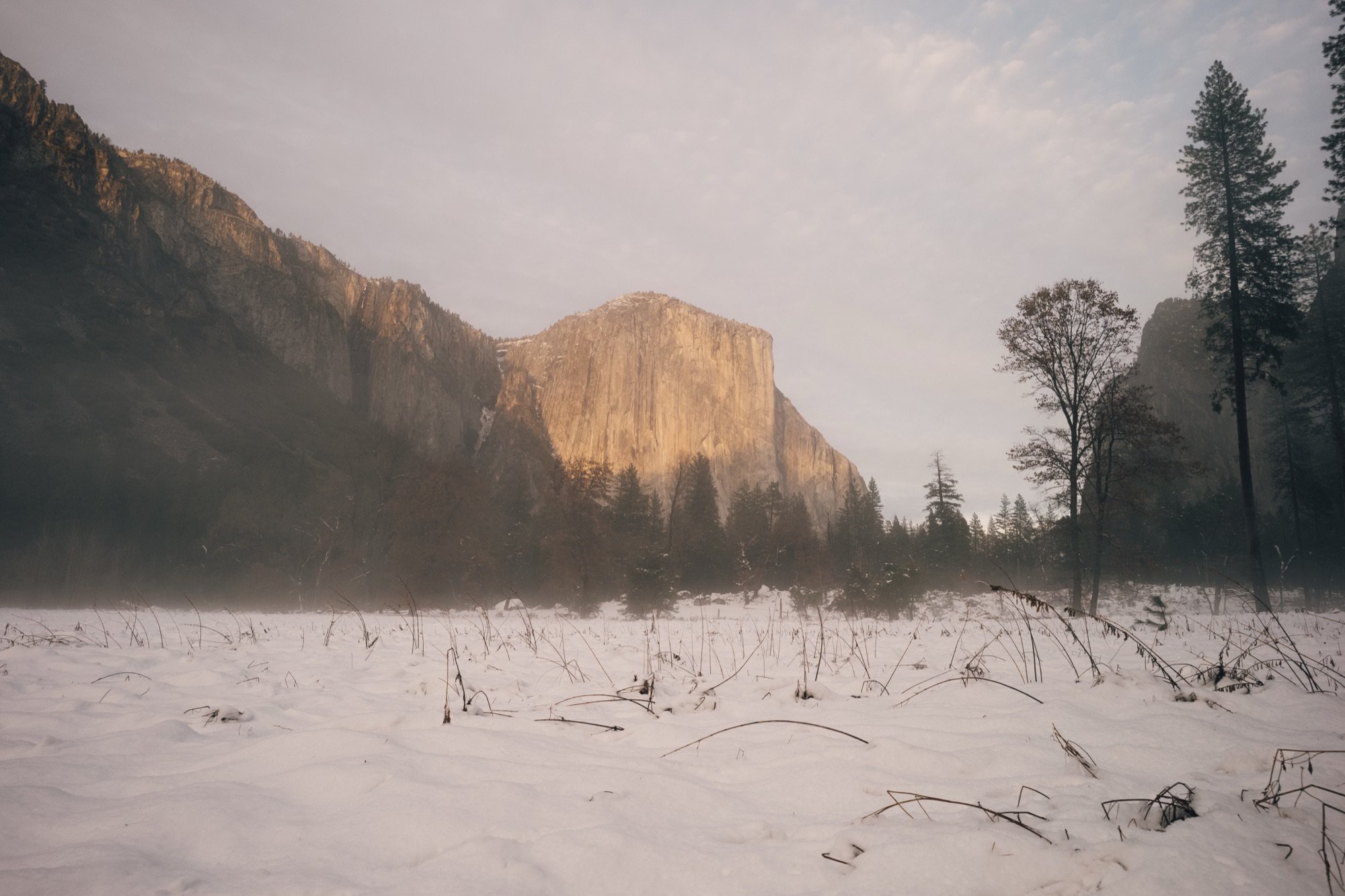 Sunlit granite cliff above a snowy meadow