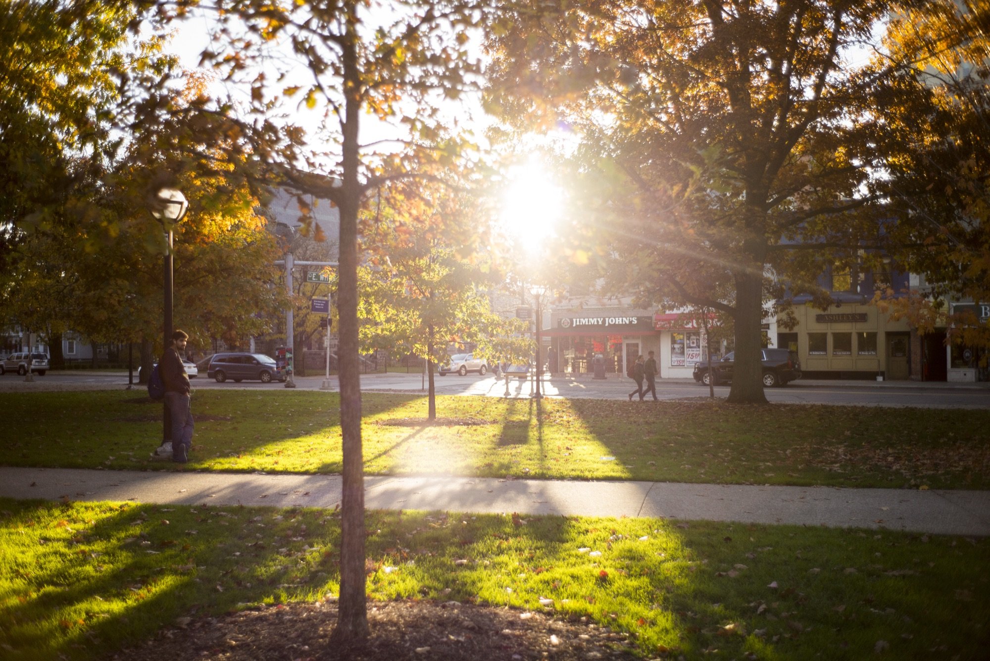 Autumn sunlight through trees